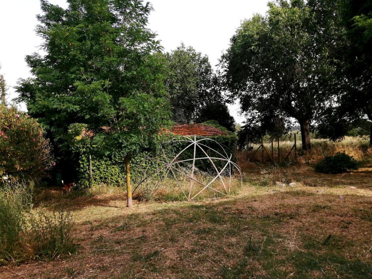 Da Pino Guest House Montemerano Exterior foto