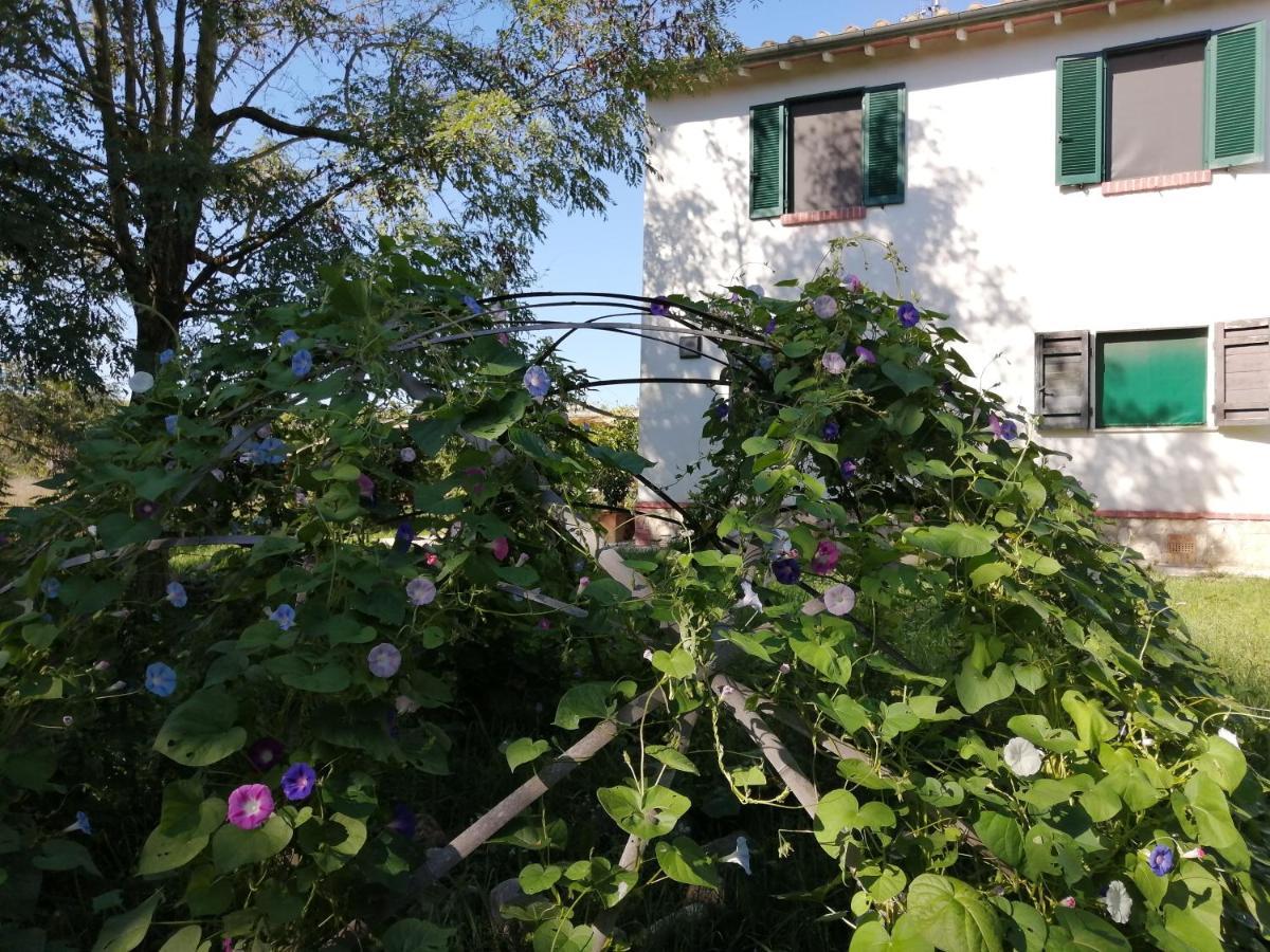 Da Pino Guest House Montemerano Exterior foto