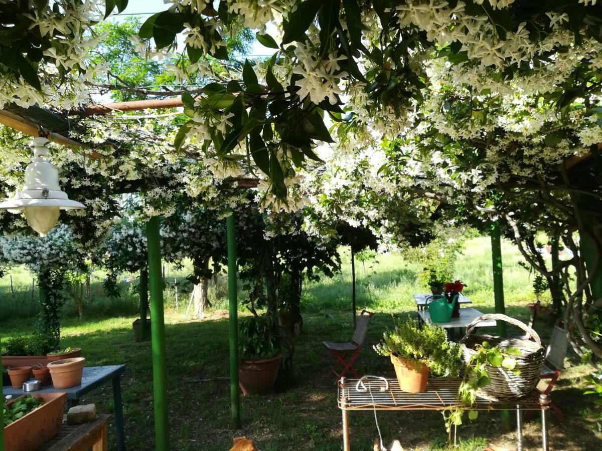 Da Pino Guest House Montemerano Exterior foto